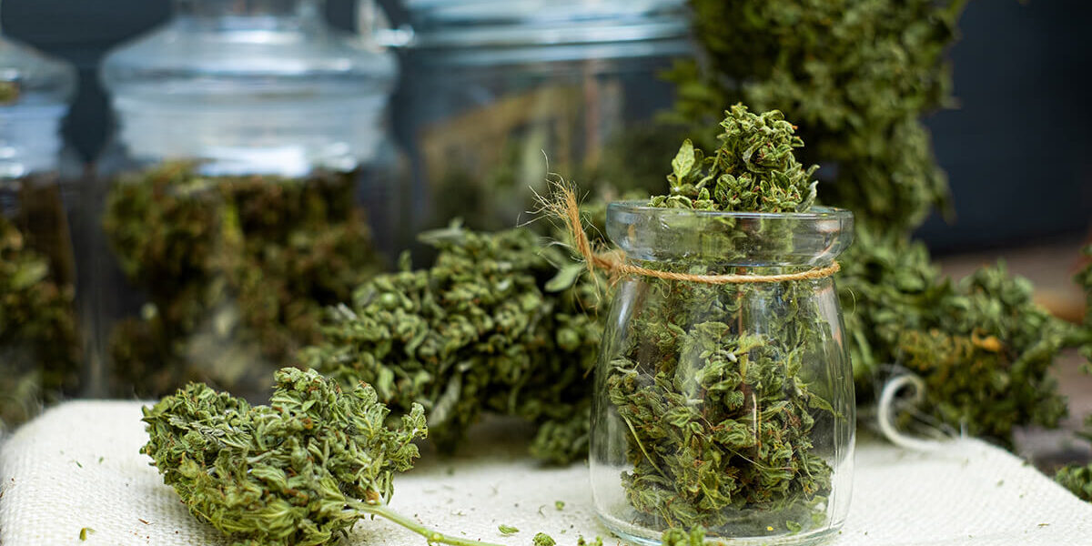 how to cure cannabis