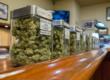 Glass jars filled with various cannabis flower strains displayed in a row on a wooden dispensary counter, each labeled with strain names and THC content, representing a retail cannabis shopping experience in Montana.
