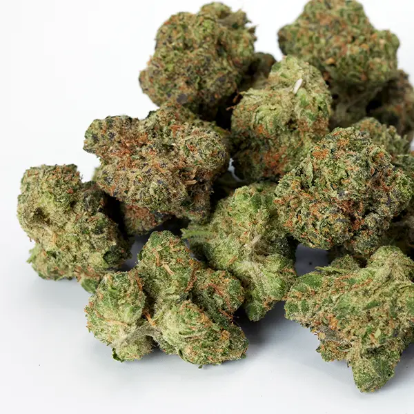 Premium cannabis flower buds available at Seed of Life dispensaries in Montana