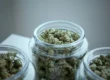 How to store weed